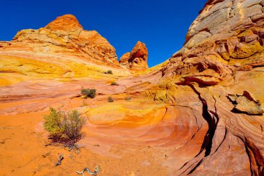 Arizona 'da Güney Coyote Buttes Yolu, Usa
