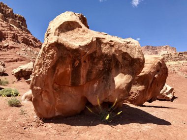 Cliff Arizona, Usa 'daki Vermillion Cliffs' de oturuyor.