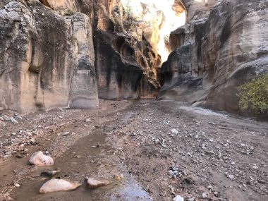 Utah, Usa 'daki Willis Creek Kanyonu