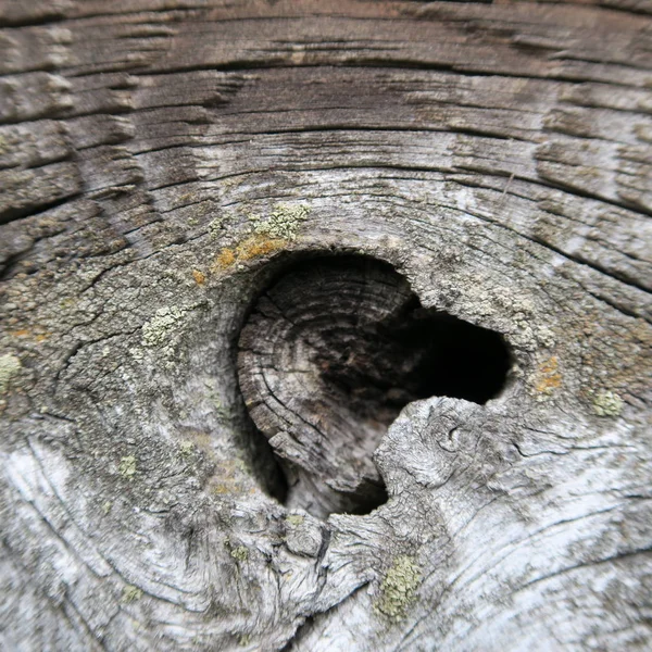 Holz, Textur aus alt, Jahrgang, Regen und Wind, verwittertes Holz — Stockfoto