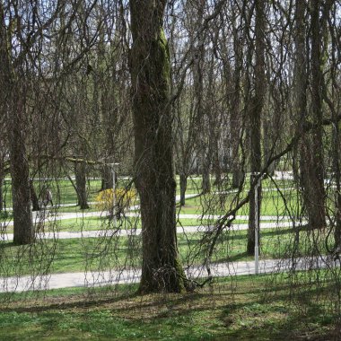 Bir bad Steben, Almanya Bavyera spa Park'ta ay mai