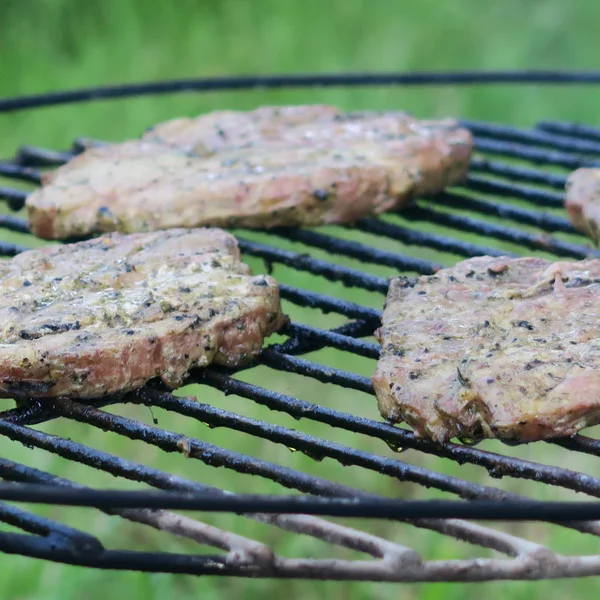 Vlees in de zomer in de groene tuin op een oude houtskool grill, del — Stockfoto