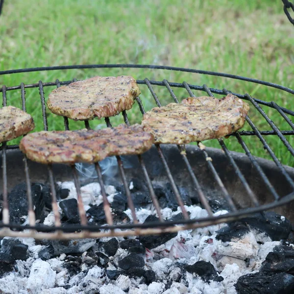 Mięso w lato w zielonym ogrodzie na grilla, del — Zdjęcie stockowe