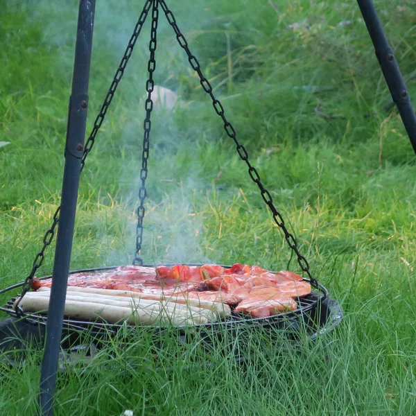 Mięso w lato w zielonym ogrodzie na grilla, del — Zdjęcie stockowe