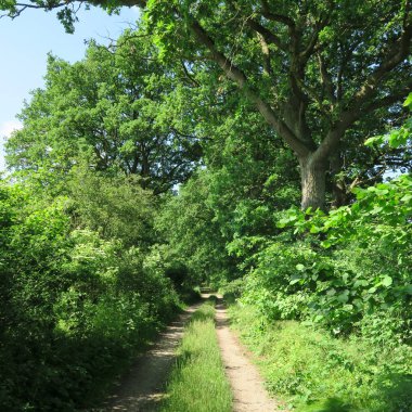 Germany, northern germany, mecklenburg-vorpommern, demmin, loitz