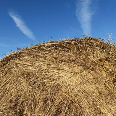 Hasat alanı üzerinde yeşil bir mea yalan saman balya yuvarlak