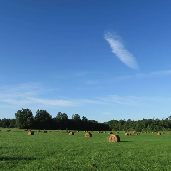 Op het veld geoogst ronde balen stro liggend op een groene mea — Stockfoto