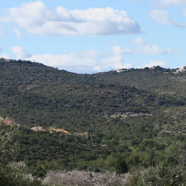 Paisagem, estrada, inverno, fevereiro, portugal, algarve — Fotografia de Stock