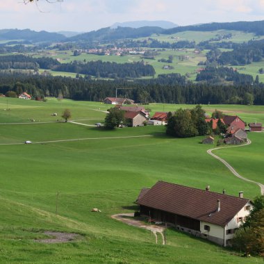 Almanya, tipik peyzaj bodensee yarış yakınındaki allg u '