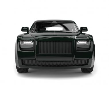 Koyu parlak lüks iş araba - Önden Görünüm portre vurdu