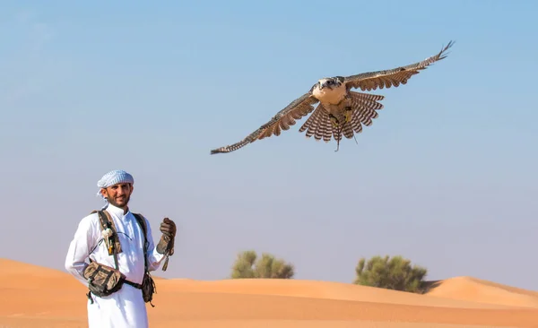 Arab falcon Stock Photos, Royalty Free Arab falcon Images | Depositphotos Arab falcon Stock Photos, Royalty Free Arab falcon Images | Depositphotos