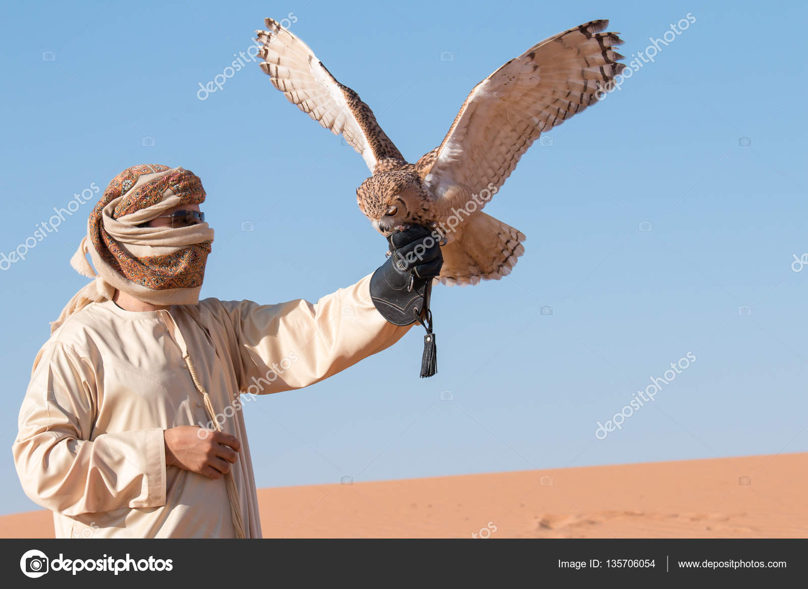 Молодой Самец Фараона Филин (Bubo Ascalaphus) Во Время Шоу.