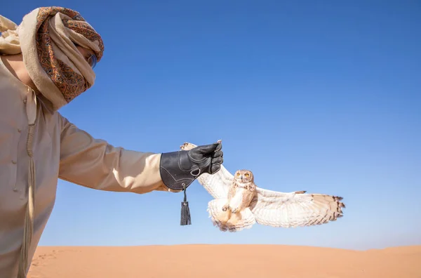ファラオのワシフクロウ写真素材 ロイヤリティフリーファラオのワシフクロウ画像 Depositphotos