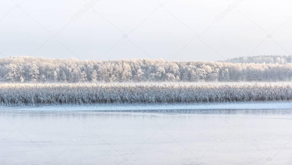 kertu_ee