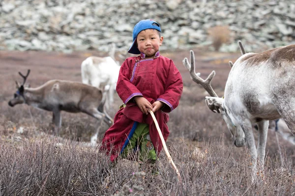 Little tsaatan boy posing with his family\'s reindeer.