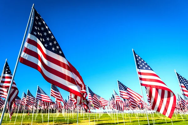 Un gran grupo de banderas americanas. Expositor de veteranos o Memorial Day — Foto de Stock