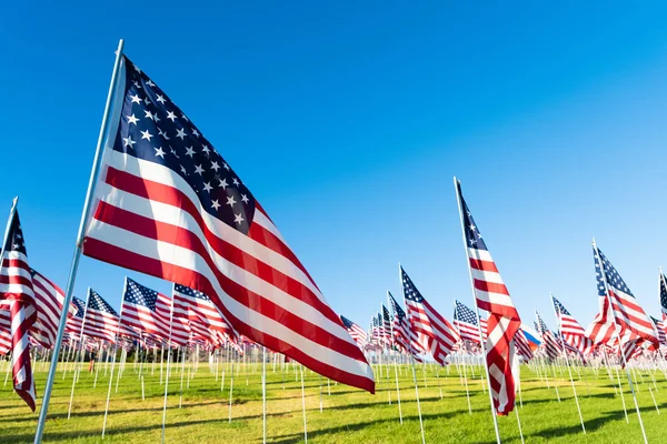 Un grand groupe de drapeaux américains. Exposition d'anciens combattants ou de jour commémoratif — Photo