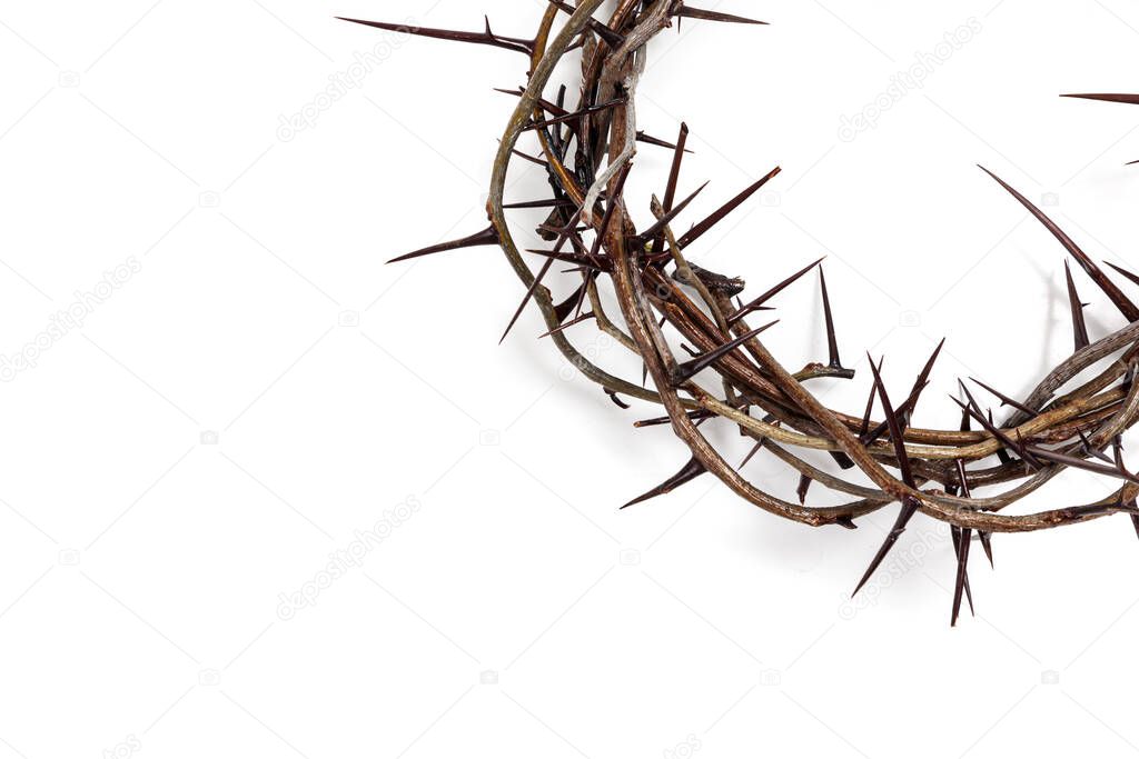 A crown of thorns on a white background. Easter theme