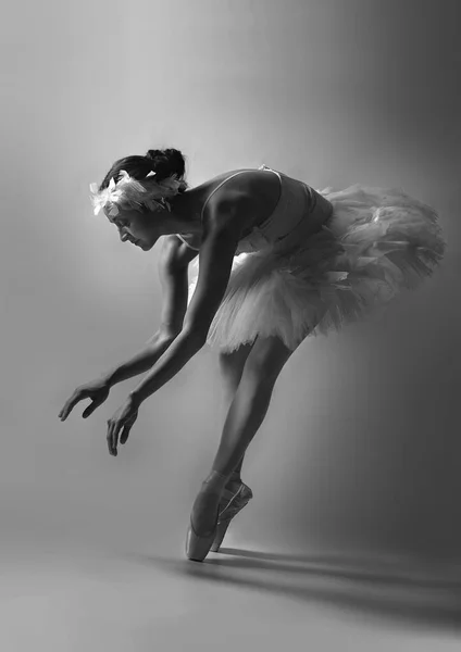 Jonge Sierlijke Ballerina Poseren Studio Witte Achtergrond Ballet Zwanenmeer Rechtenvrije Stockfoto's