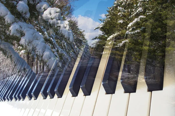 Musique Classique Fond Photo Double Exposition Touches Piano Paysage Hiver — Photo