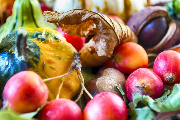 Frutos del otoño — Foto de Stock