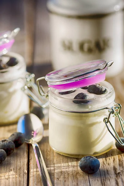 Jogurt z jagodami — Zdjęcie stockowe
