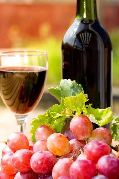 Wine a grapes — Stock Photo, Image