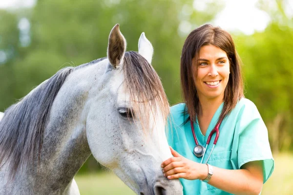 Veterinární na farmě — Stock fotografie