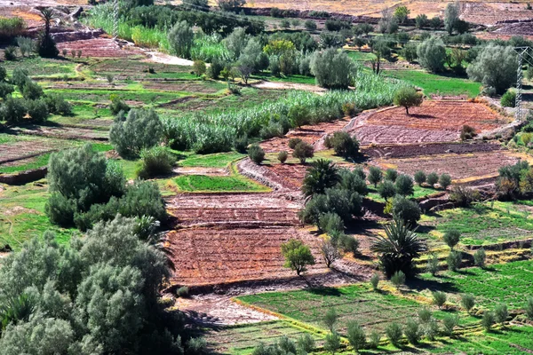 Landschapsmening van hoge Atlasgebergte, Marokko — Stockfoto