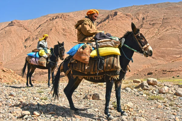 Les Berbères sont indigènes des montagnes de l'Atlas du Maroc . — Photo