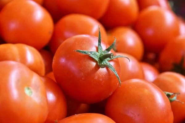 Fresh organic tomatoes on street market stall — Stock Photo, Image