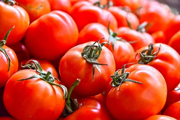 Fresh organic tomatoes on street market stall — Stock Photo, Image