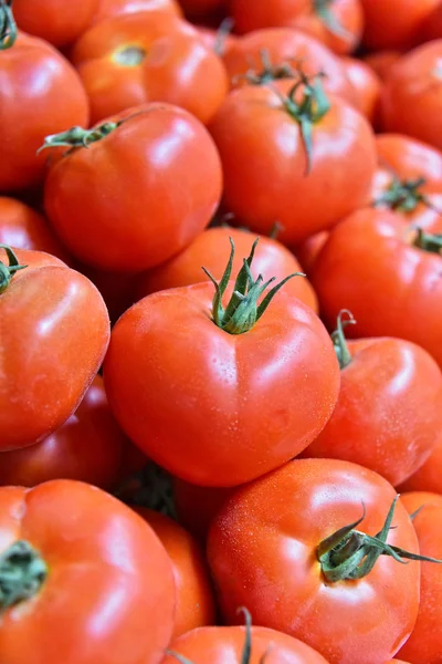 Pomodori biologici freschi sulla bancarella del mercato di strada — Foto Stock