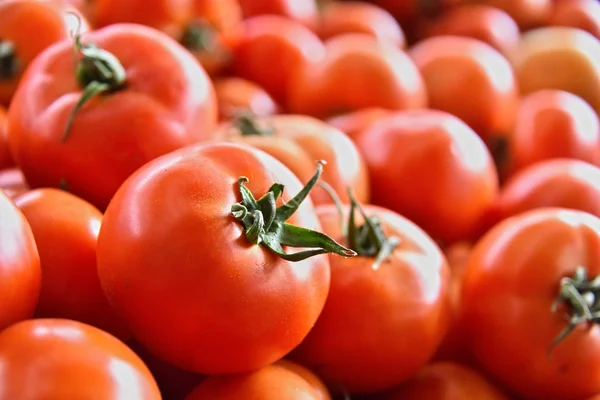 Čerstvá bio rajčata na pouliční trh stánek — Stock fotografie