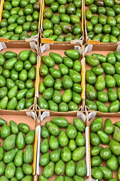 Avocado's op straat marktkraam — Stockfoto