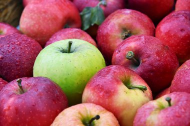 Semt pazarı durak üzerinde taze organik elma