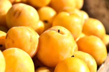 Semt pazarı durak üzerinde taze organik Erik