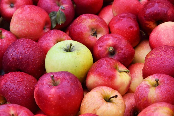 Verse biologische appels op straatmarkt kraam — Stockfoto