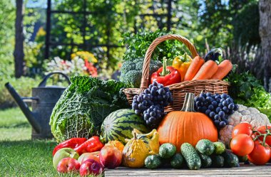 Taze organik sebze ve meyve bahçesinde çeşitli