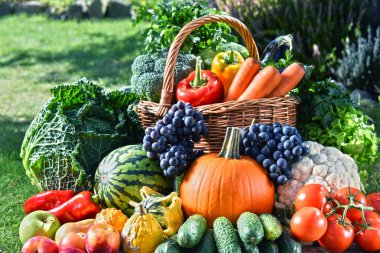 Taze organik sebze ve meyve bahçesinde çeşitli