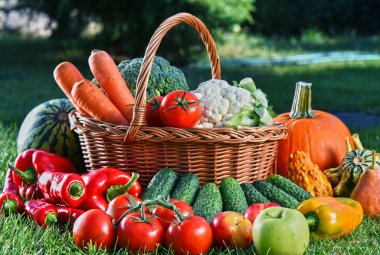 Taze organik sebze ve meyve bahçesinde çeşitli