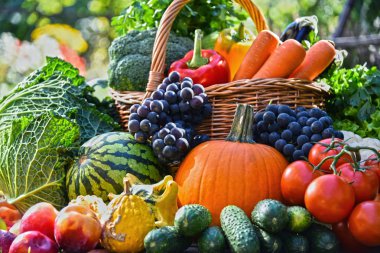 Taze organik sebze ve meyve bahçesinde çeşitli