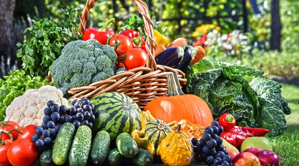 Mängd färska ekologiska grönsaker och frukter i trädgården — Stockfoto
