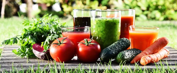 Gläser mit frischen Bio-Detox-Säften im Garten — Stockfoto