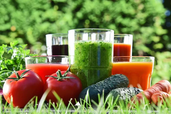 Verres avec jus de désintoxication bio frais dans le jardin — Photo