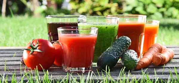 Vasos con zumos de desintoxicación orgánicos frescos en el jardín — Foto de Stock