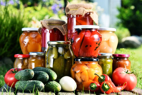 Frascos de legumes em conserva e frutas no jardim — Fotografia de Stock