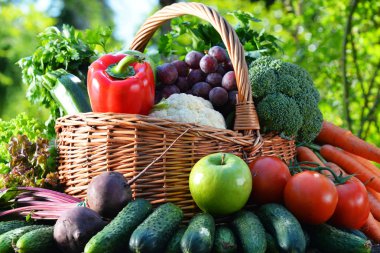 Taze organik sebze ve meyve bahçesinde çeşitli