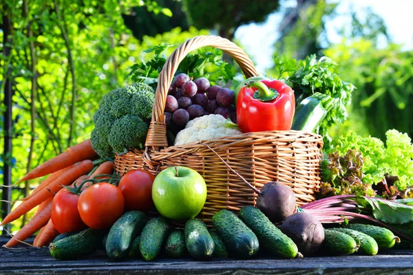 Variedade de vegetais orgânicos frescos e frutas no jardim — Fotografia de Stock