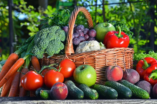 Scala aan verse biologische groenten en fruit in de tuin — Stockfoto